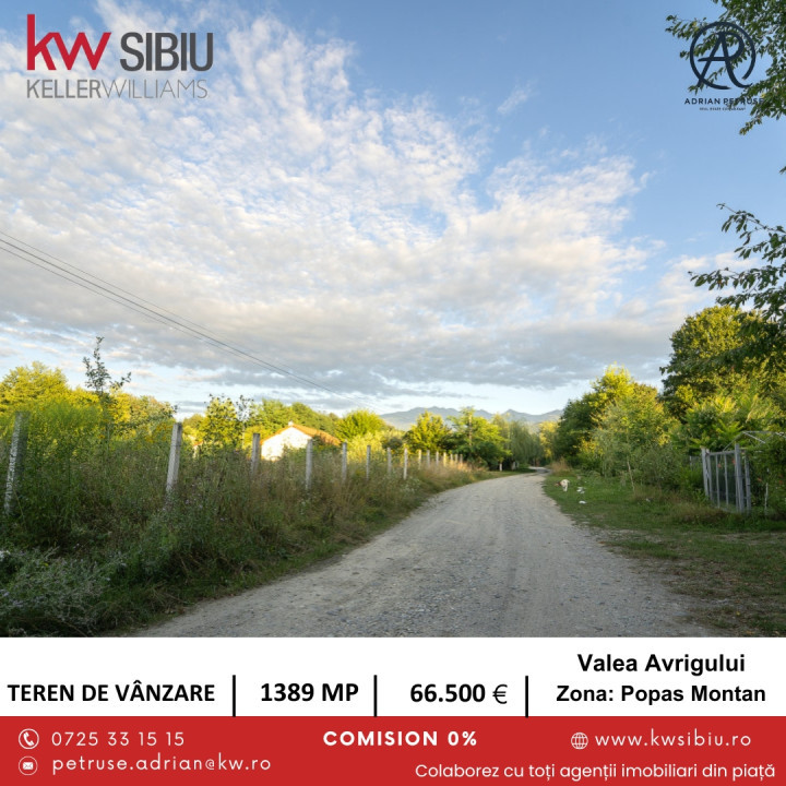 Teren și Cabană pe Valea Avrigului.